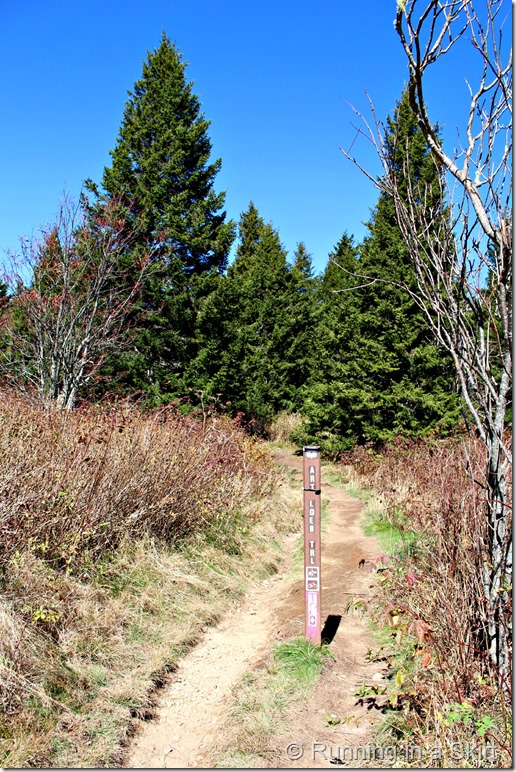 black-balsam-hike-trail-head