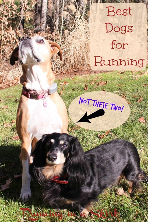 RhettandReinarunningpin.jpg