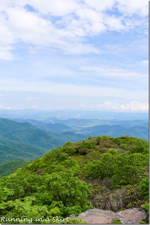 craggy gardens hike-135-11
