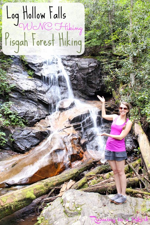 pisgahforestwaterfallsloghollowfalls.jpg