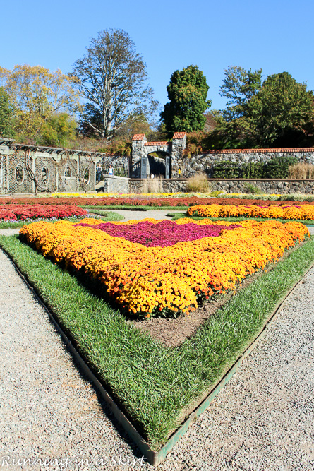Biltmore Estate Gardens Fall - See gorgeous mums and stunning fall leaves!/ Running in a Skirt