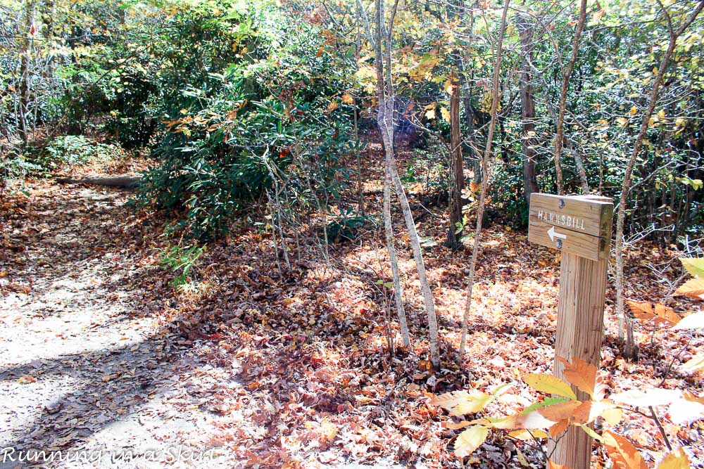 Hawksbill Mountain Hike, Linville Gorge in Western North Carolina, Tips, pictures and directions!/ Running in a Skirt