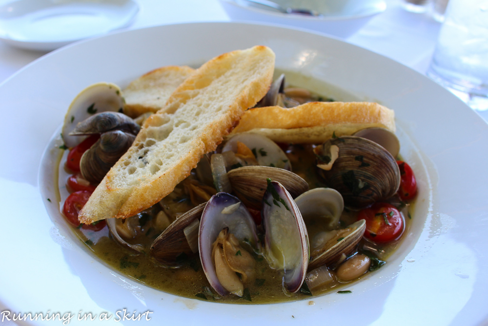 Key West Clams