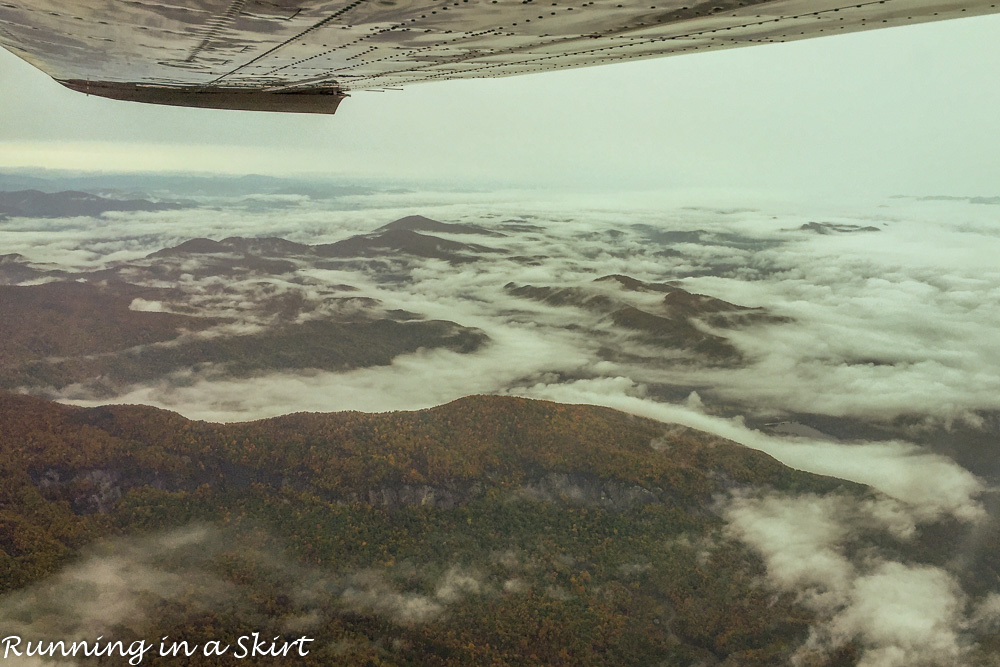 halloween 2015-104-9