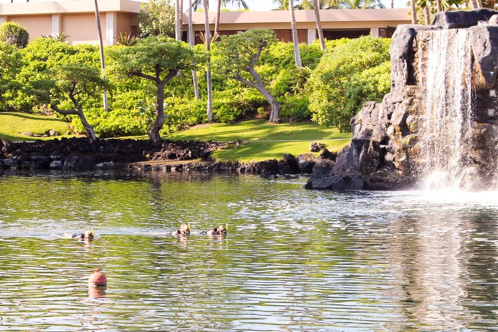 Hilton Waikoloa Village Review