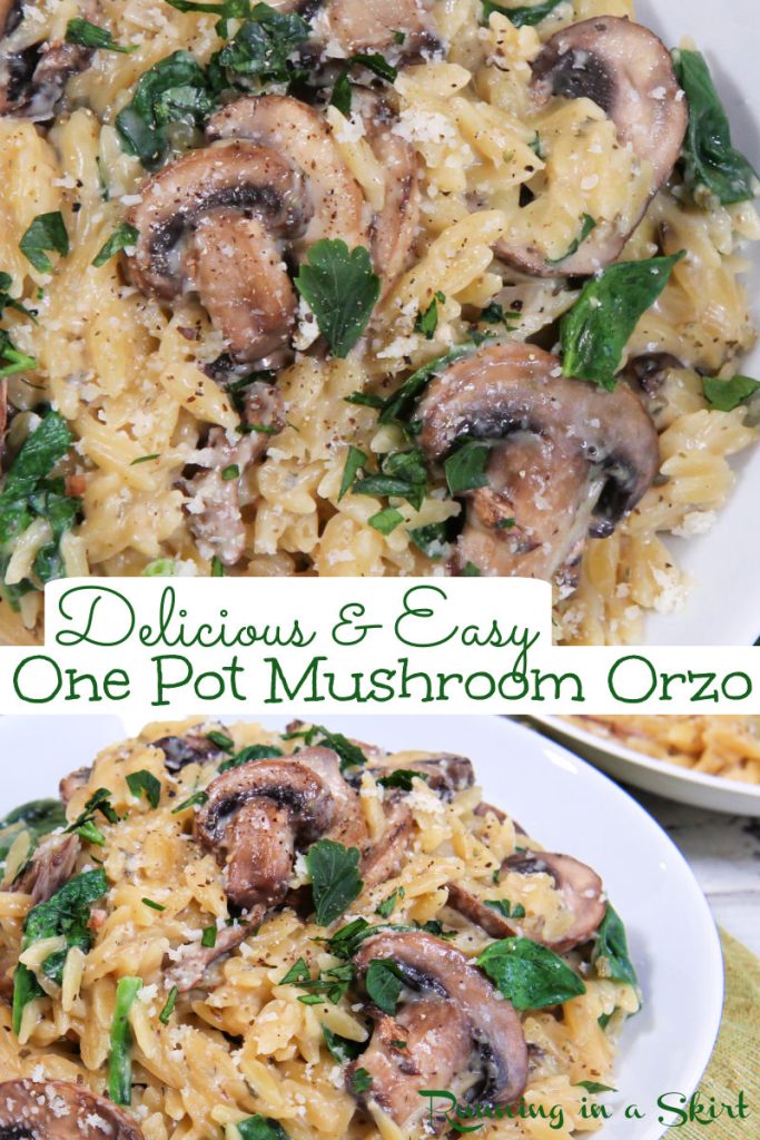 Mushroom Orzo Pasta Pinterest Pin