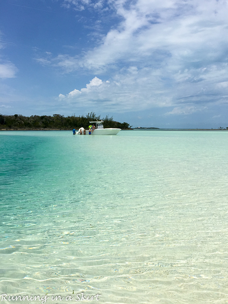 The Abacos Bahamas-48-2-29