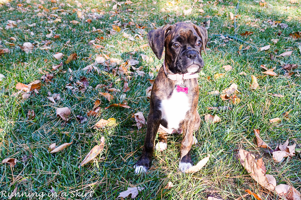 makena-rose-12-weeks-2