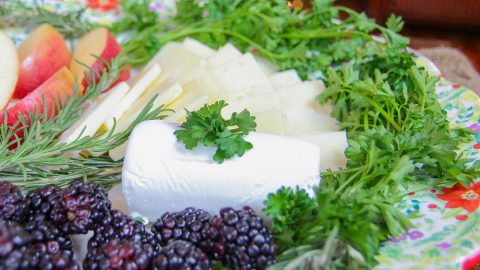 Last Minute 5 Minute Holiday Cheese Platter / Running in a Skirt