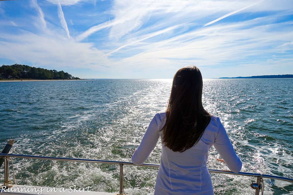 Hilton Head Island Dolphin Tour