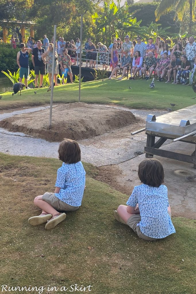 Top Things to do In Kauai with Kids