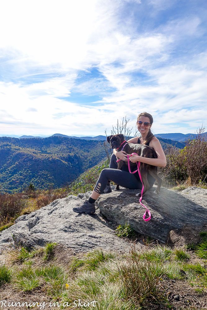 Essential Tips for Hiking with Dogs