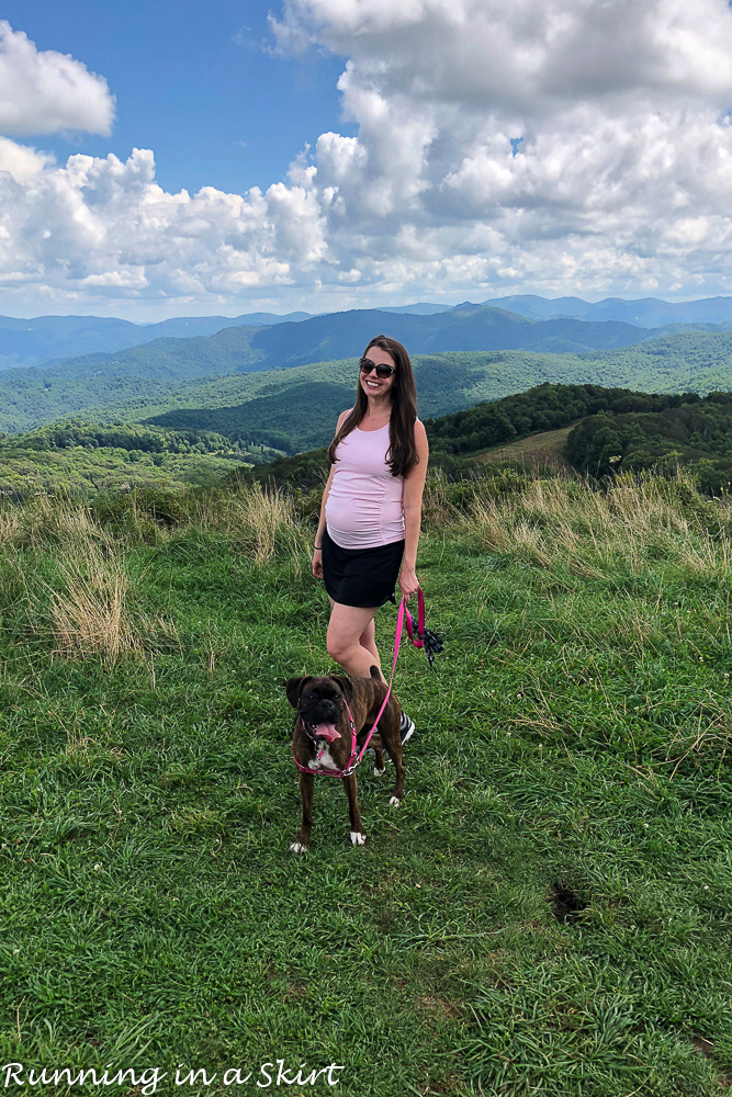 Max Patch Hike near Asheville NC