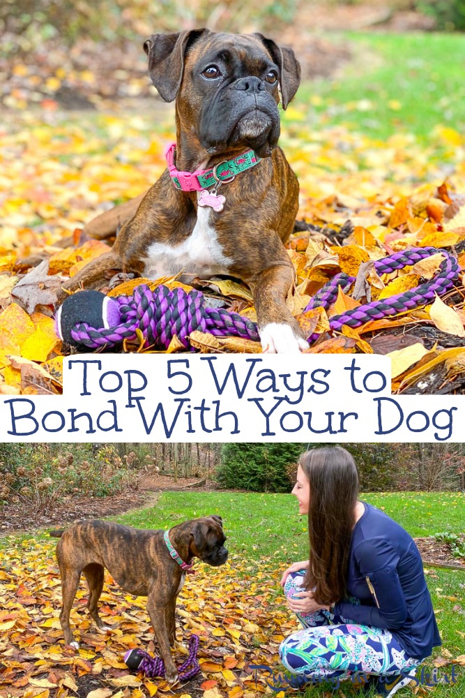 How to bond with your dog pinterest pin.