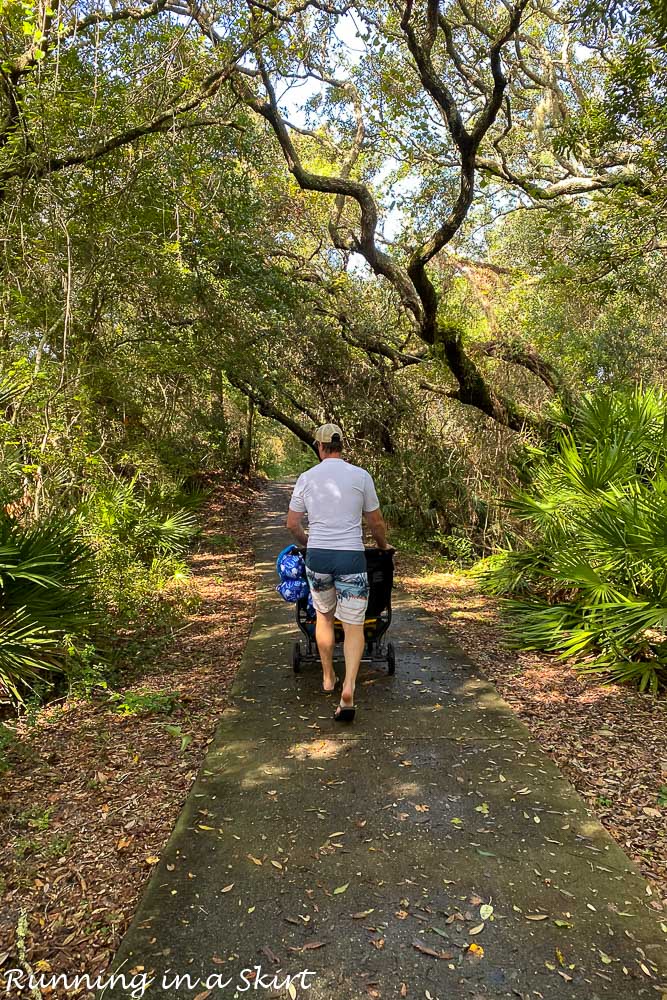 Things to Do on Amelia Island