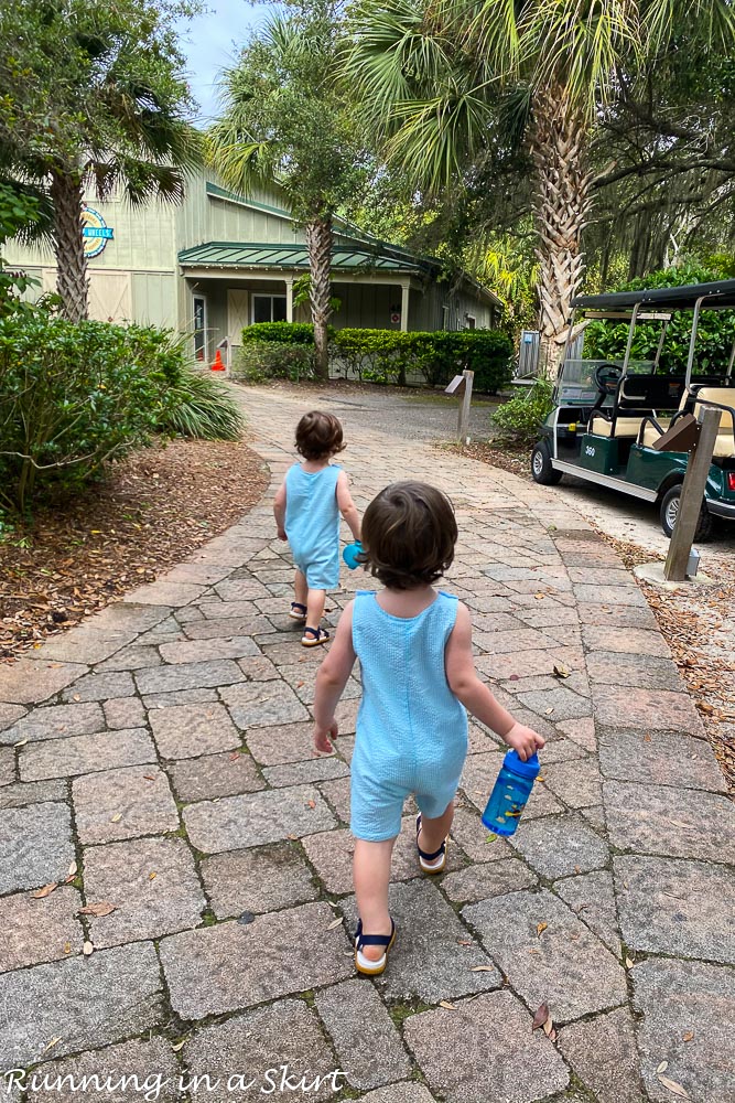 Things to Do on Amelia Island
