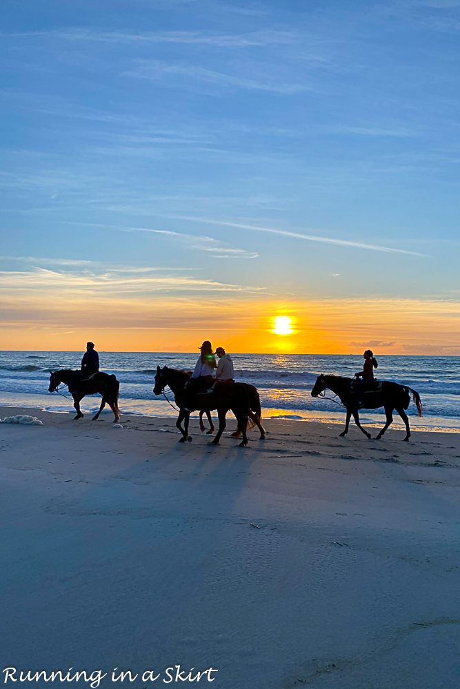Things to Do on Amelia Island Horseback riding