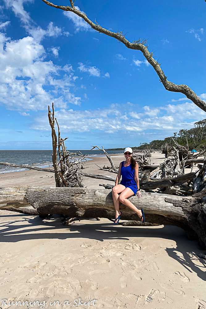 Things to Do on Amelia Island Boneyard Beach