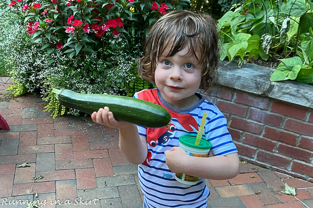Kids holding giant zucchini.