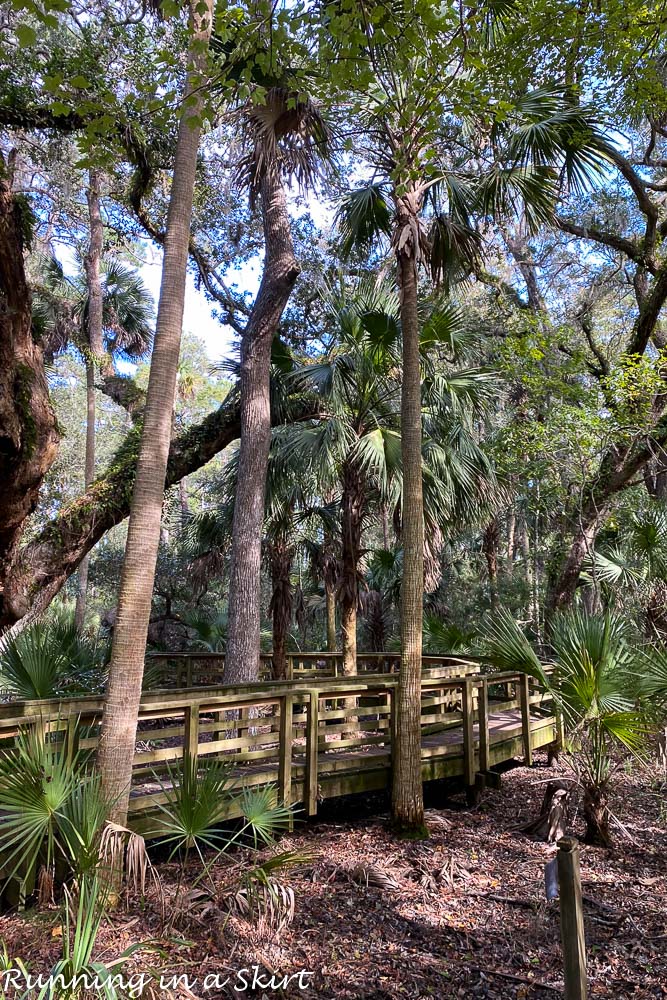 Sea Pines Nature Preserve