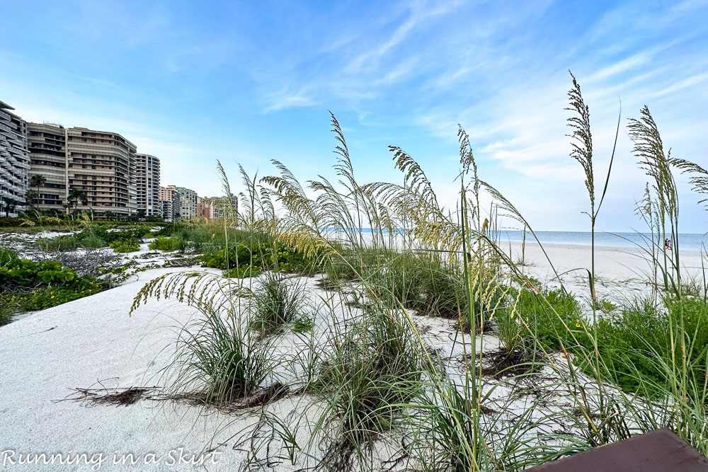 Top Things to Do in Marco Island Florida