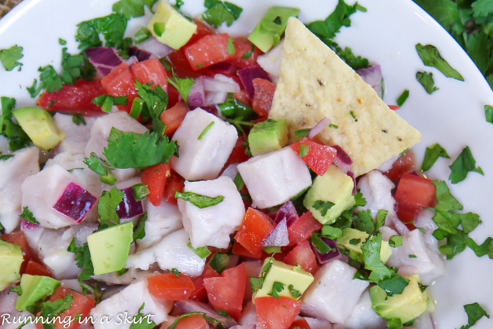 Tuna Ceviche on a plate with a tortilla chip.