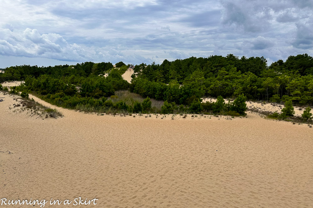 Things to do in Nags Head - Jockey's Ridge State Park