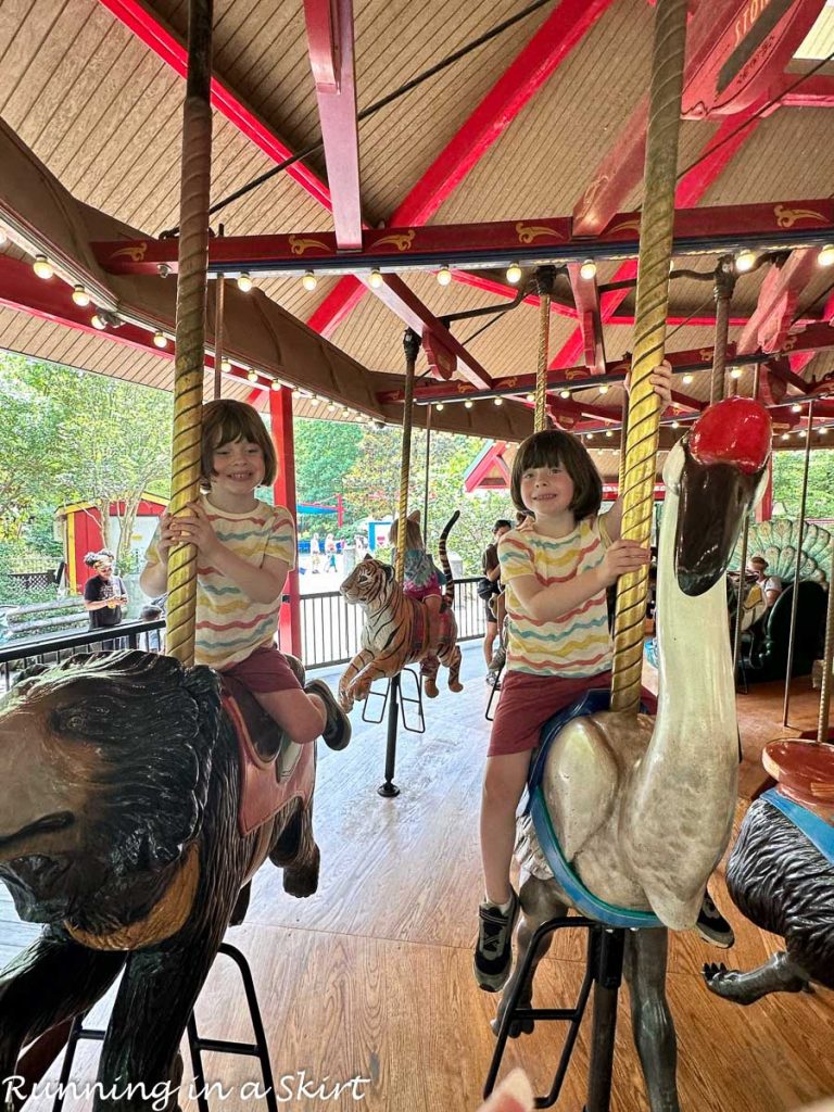 Atlanta Zoo reviews- carousel