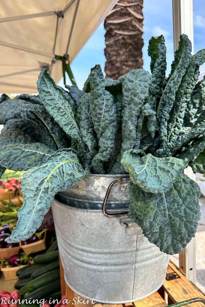 Seaside Farmer's Market