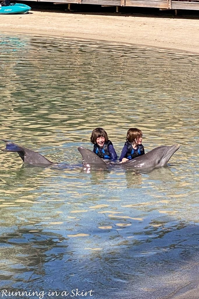 Kids swimming with dolphins.