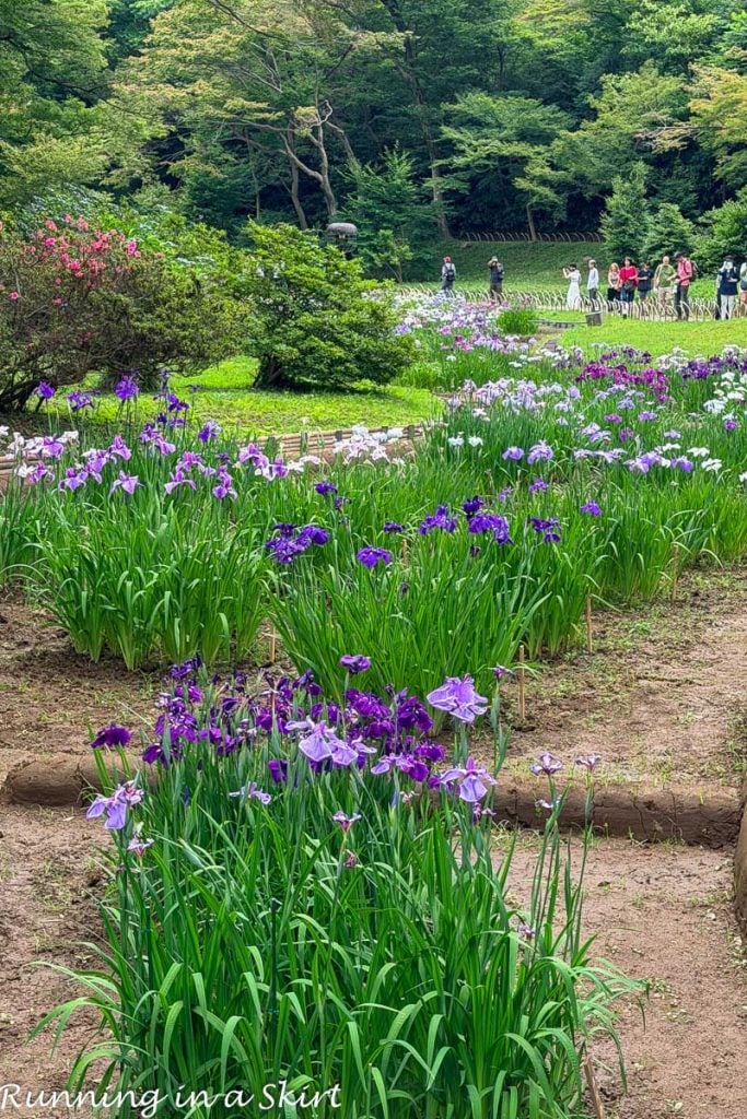 Top Things to do in Tokyo Japan