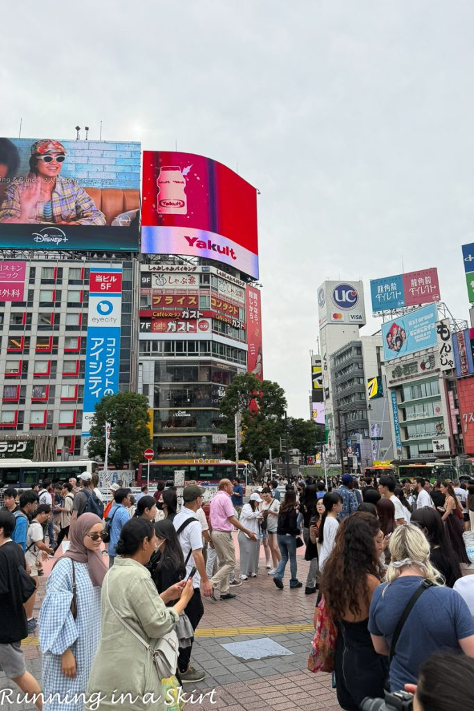 Shibuya Crossing